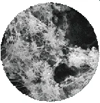 2026_05_22_558835