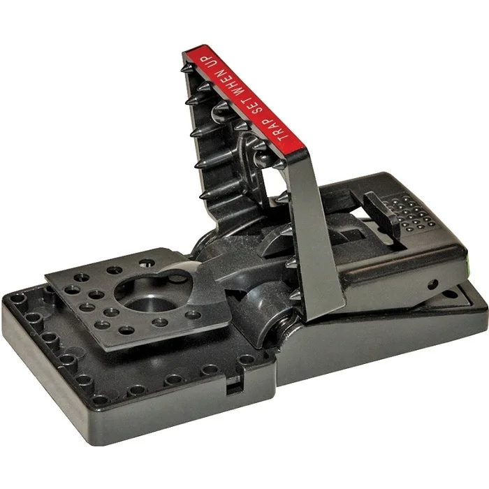 2026_05_22_586582